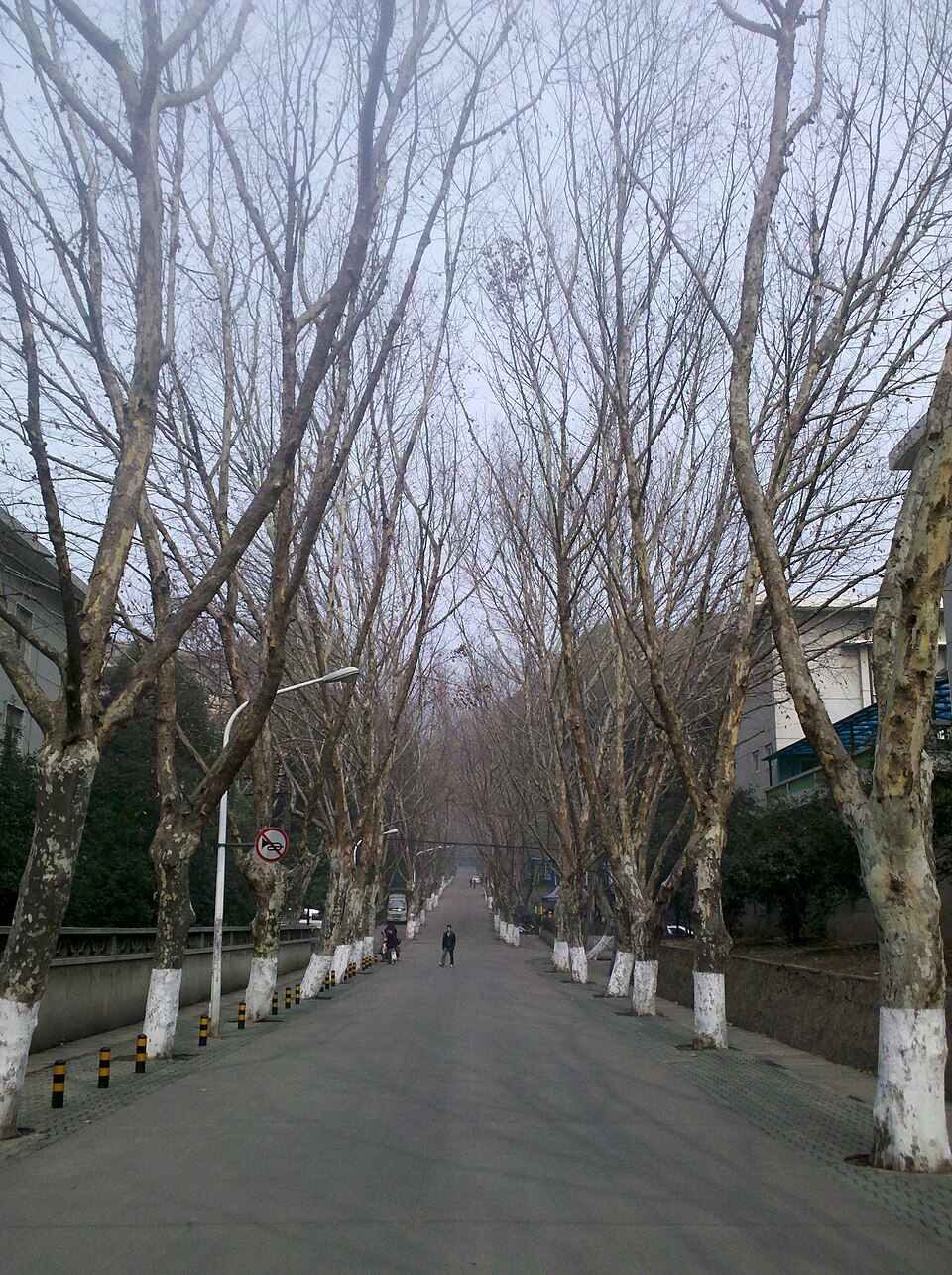 Campus scene at HUST