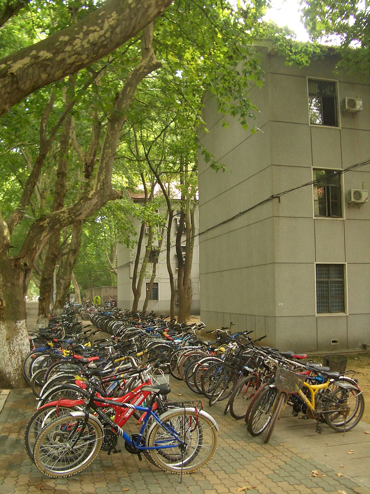Dormitory building and bicycles